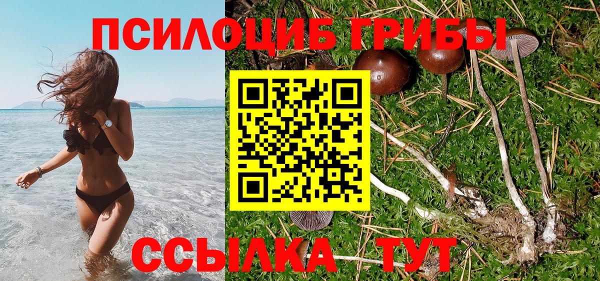 Усинск  Псилоцибиновые грибы Cubensis  Вход с VPN  Псилоцибиновые грибы Magic Shrooms 